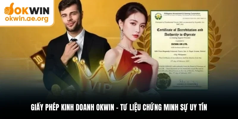Giấy phép kinh doanh Okwin